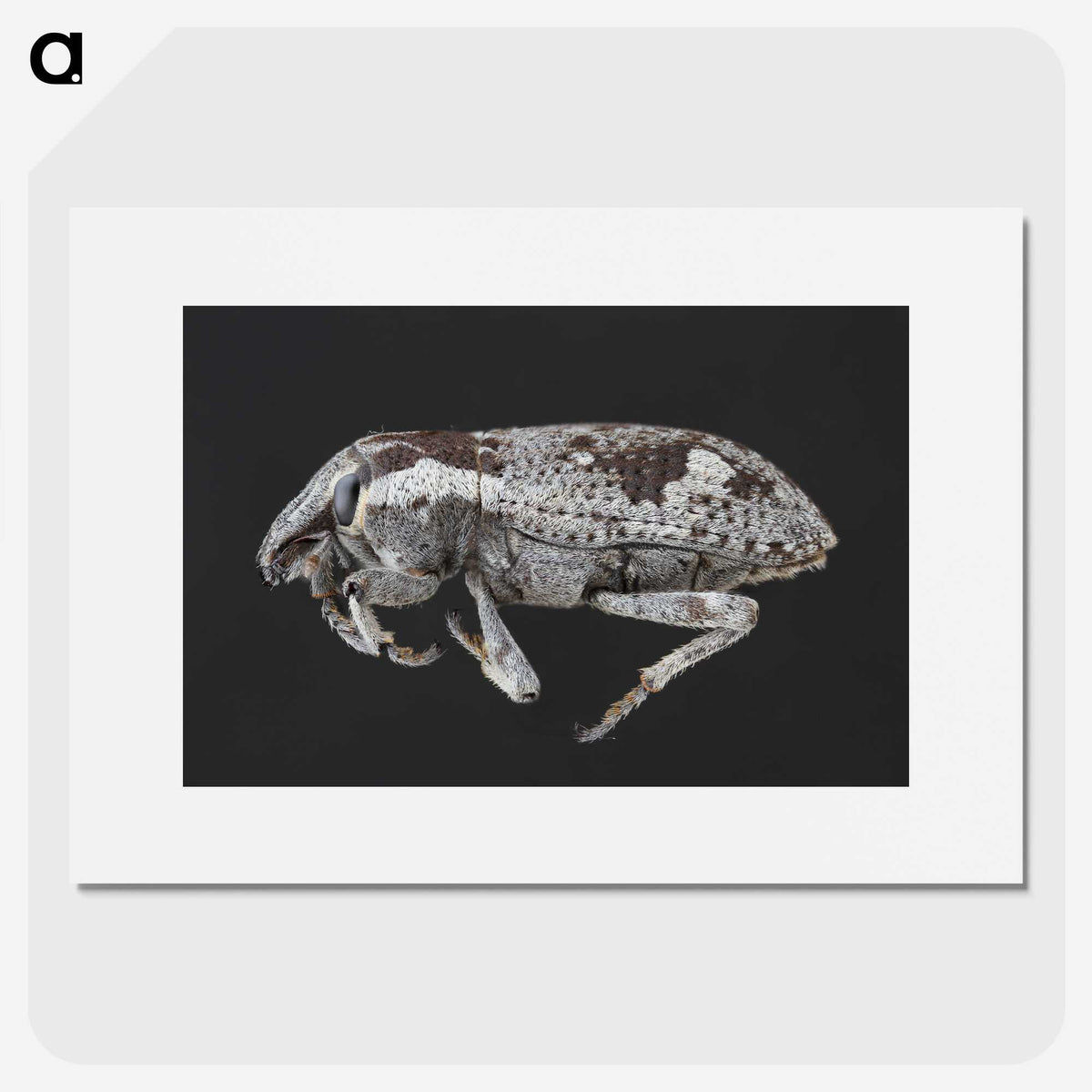 2-20_Insects-Unlocked-Project_picture