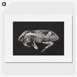 2-20_Insects-Unlocked-Project_picture