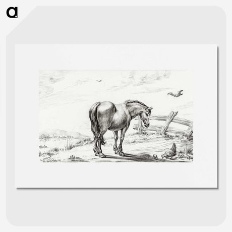 2-20_Jean-Bernard_picture