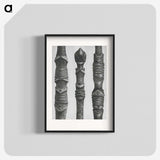 2-20_Karl-Blossfeldt_blk