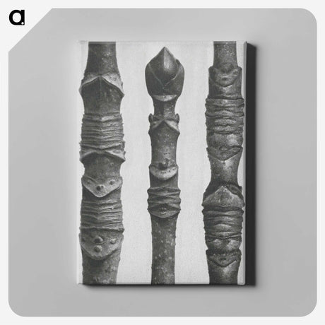 2-20_Karl-Blossfeldt_canvas