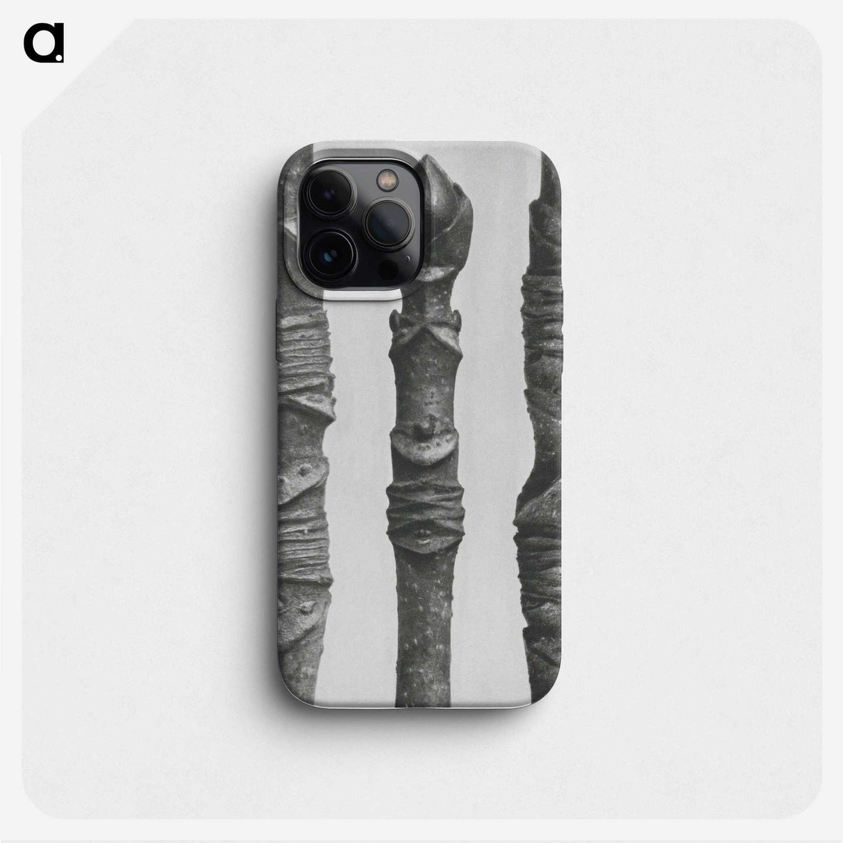 2-20_Karl-Blossfeldt_phone