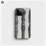 2-20_Karl-Blossfeldt_phone