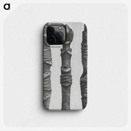 2-20_Karl-Blossfeldt_phone