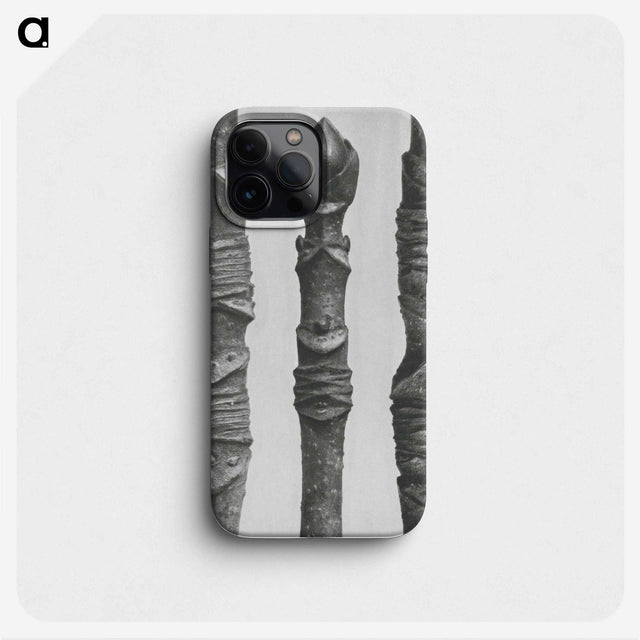 2-20_Karl-Blossfeldt_phone