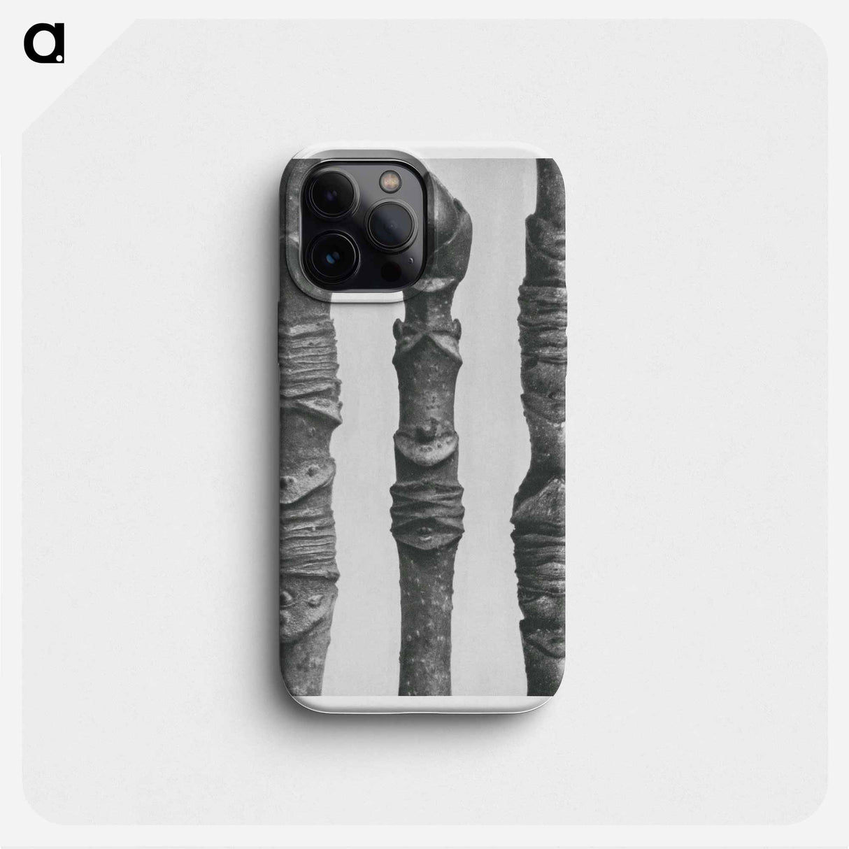 Acer Stems - Karl Blossfeldt Phone Case.