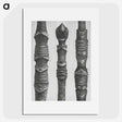 2-20_Karl-Blossfeldt_picture