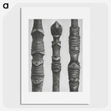 2-20_Karl-Blossfeldt_picture