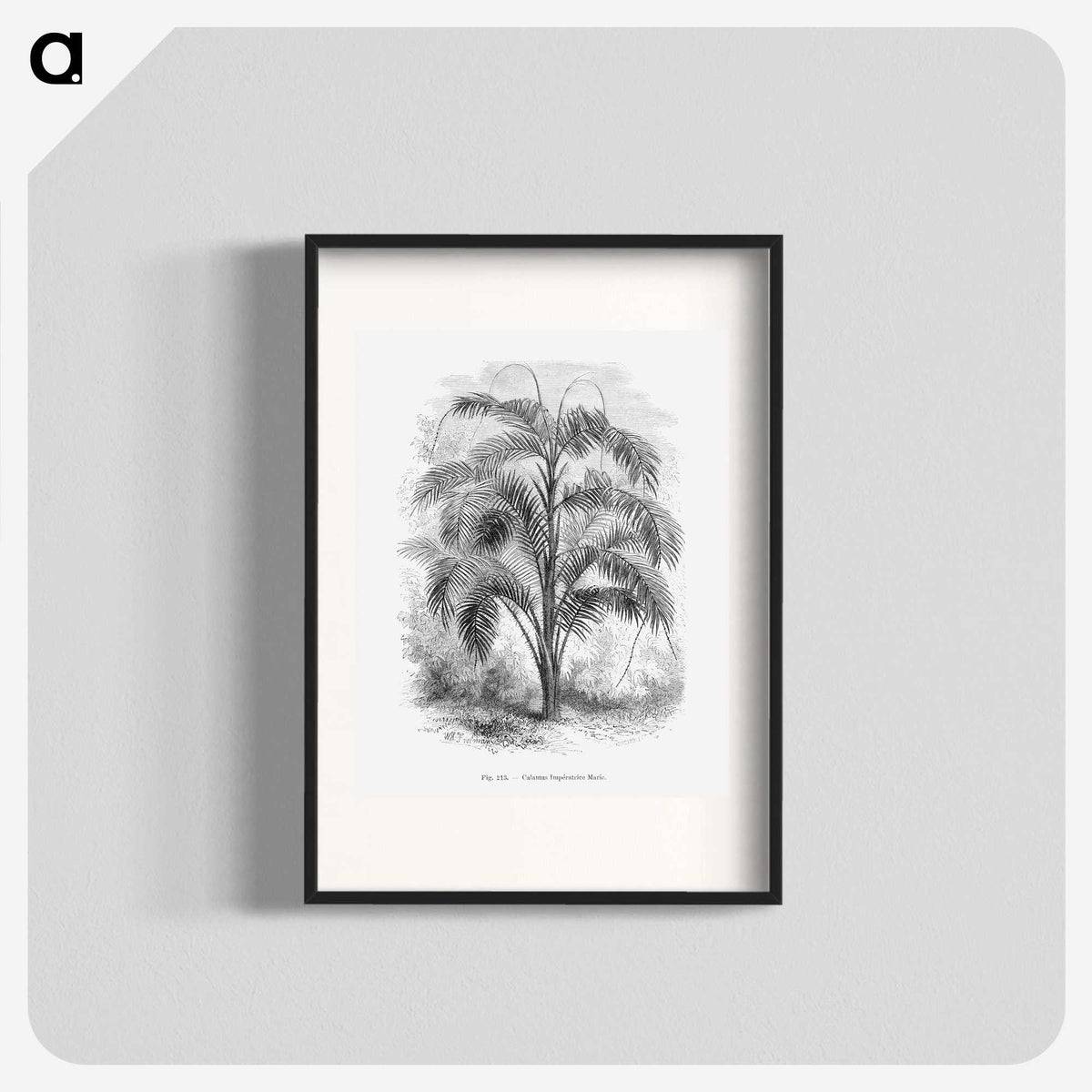 2-20_Les-Palmiers-Histoire-Iconographique_blk