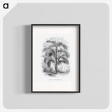 2-20_Les-Palmiers-Histoire-Iconographique_blk