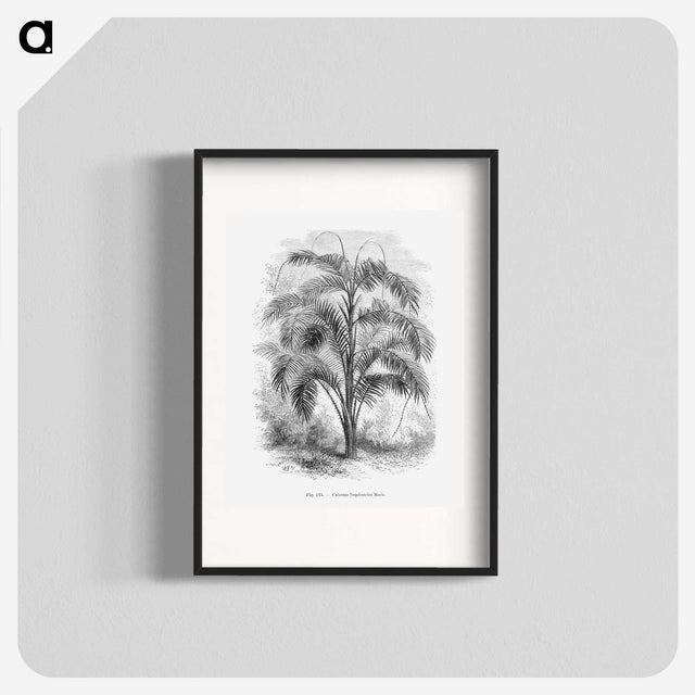 2-20_Les-Palmiers-Histoire-Iconographique_blk