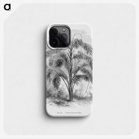 2-20_Les-Palmiers-Histoire-Iconographique_phone