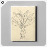 2-20_Luigi-Balugani_canvas