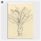 2-20_Luigi-Balugani_picture-crop