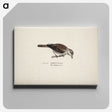 2-20_Magnus-von-Wright_canvas