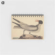 アートメモ帳-The Laughing Gull
 - マーク ケイツビー Memo.