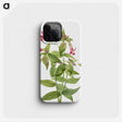 2-20_Mary-Vaux-Walcott_phone