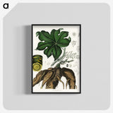 2-20_Medical-Botany_blk-crop