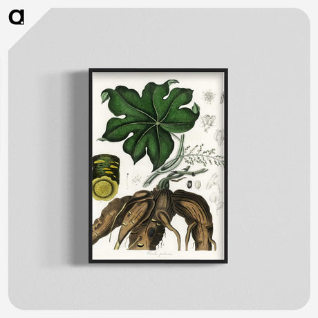 2-20_Medical-Botany_blk-crop