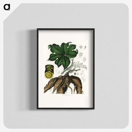 2-20_Medical-Botany_blk