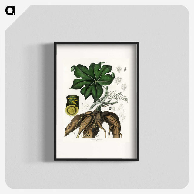 2-20_Medical-Botany_blk