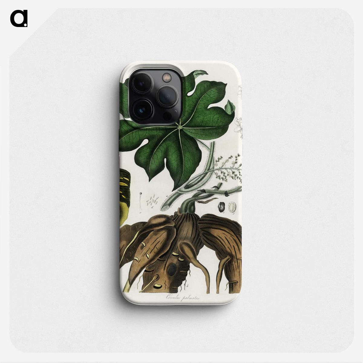 2-20_Medical-Botany_phone