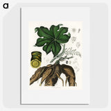 2-20_Medical-Botany_picture
