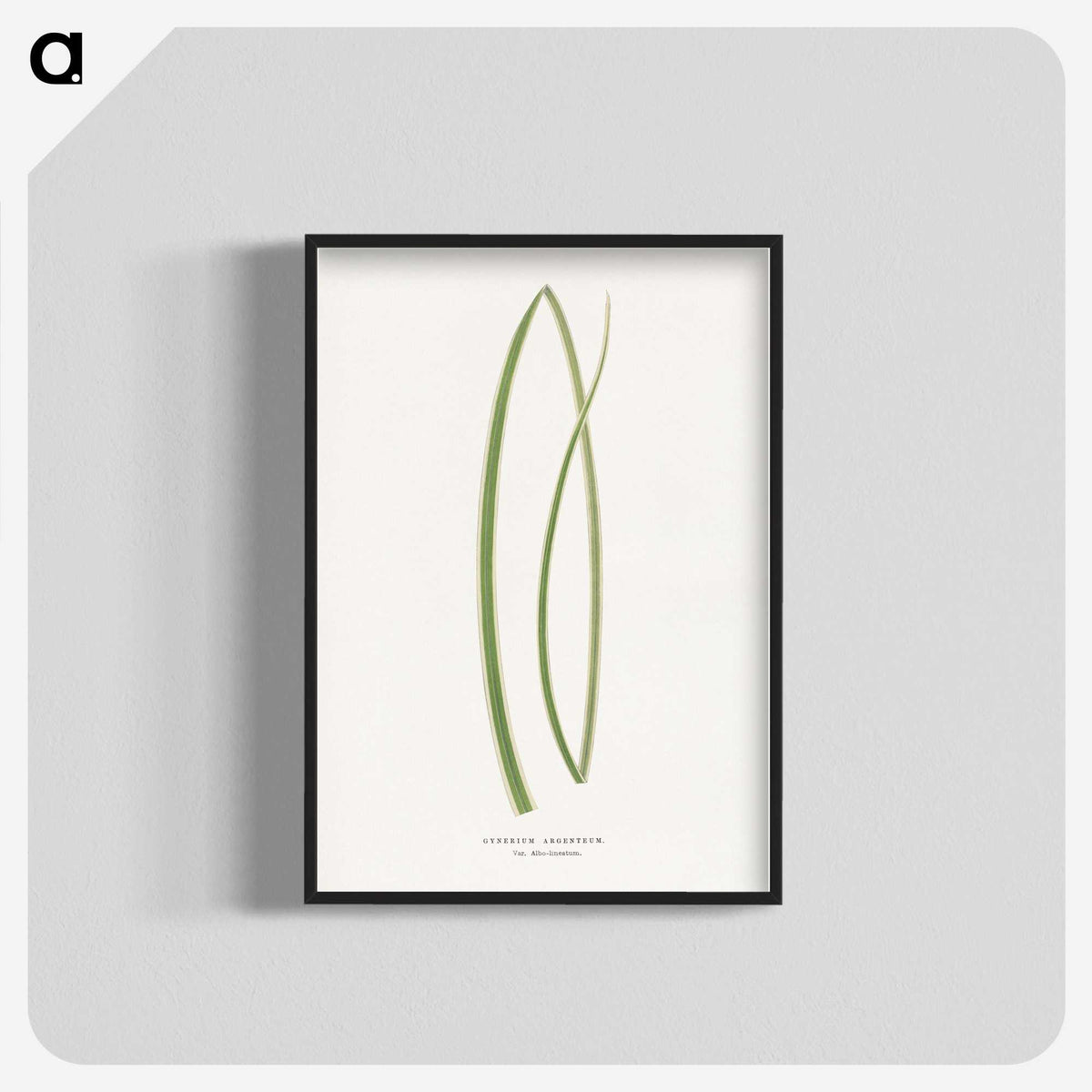 2-20_Plants-with-Colored-Foliage_blk-crop
