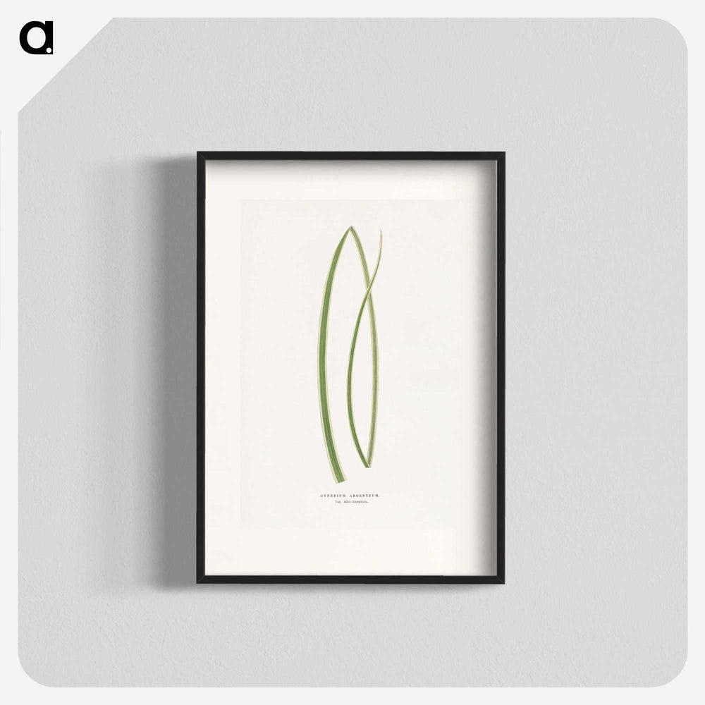 2-20_Plants-with-Colored-Foliage_blk