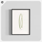 2-20_Plants-with-Colored-Foliage_blk