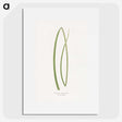 2-20_Plants-with-Colored-Foliage_picture