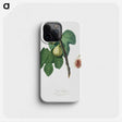 2-20_Pomona-Italiana_phone