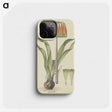 2-20_Robert-Jacob-Gordon_phone