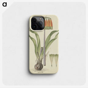 2-20_Robert-Jacob-Gordon_phone