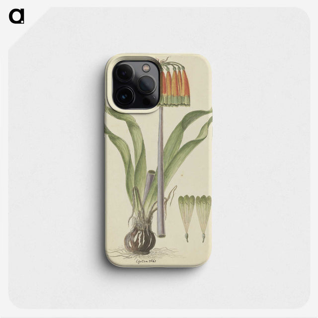 2-20_Robert-Jacob-Gordon_phone