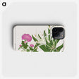 2-20_Seiyo-Soka-Zufu_phone