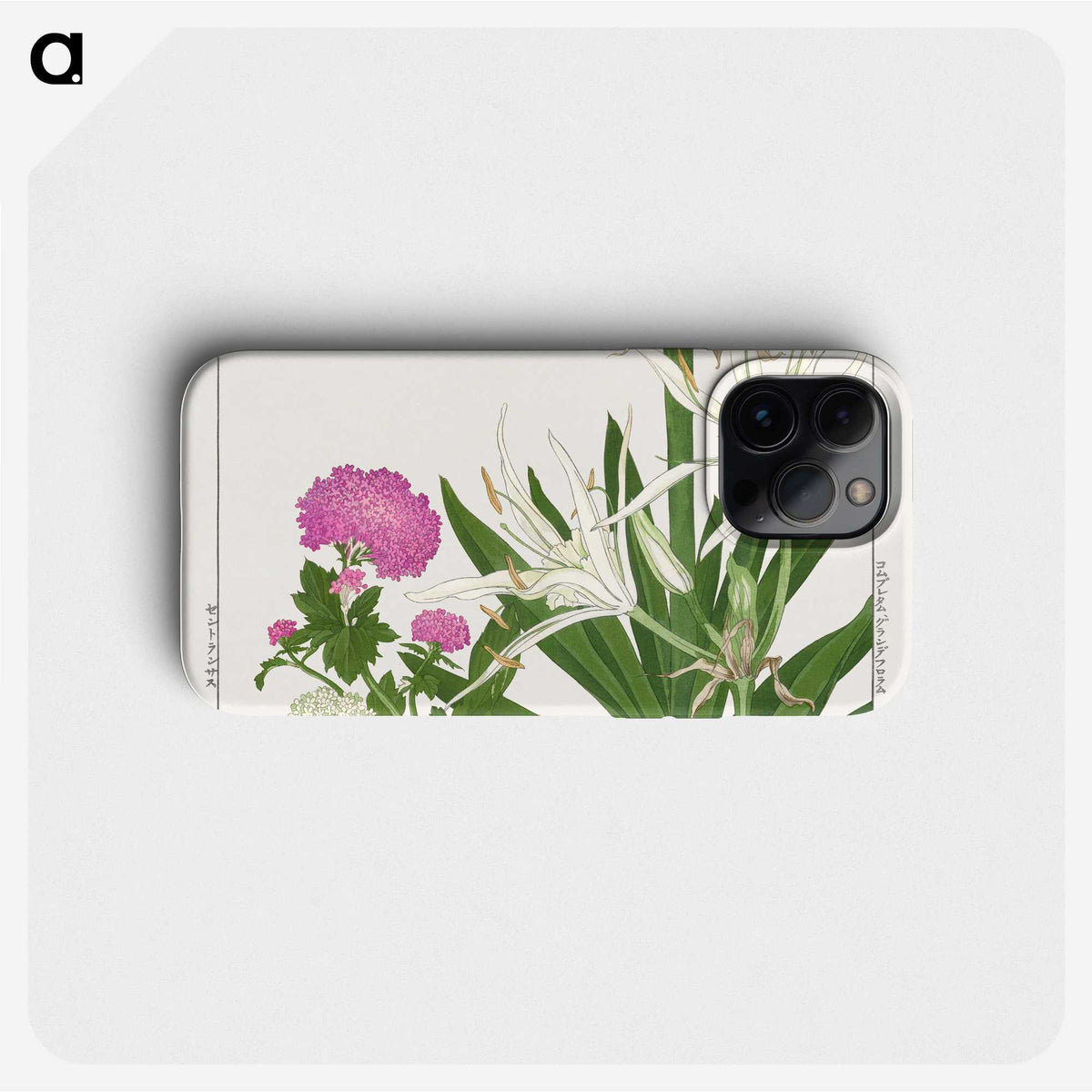 2-20_Seiyo-Soka-Zufu_phone