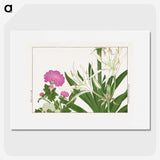 2-20_Seiyo-Soka-Zufu_picture