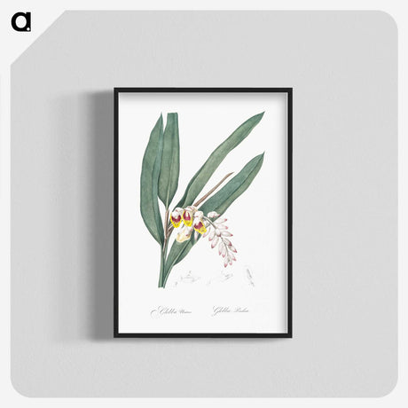 2-20_The-Lilies_blk-crop