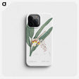 2-20_The-Lilies_phone