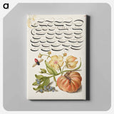 アートパネル-Insect, Moth Mullein, Forget Me Not, and Tomato
 - 書道のお手本 Canvas.