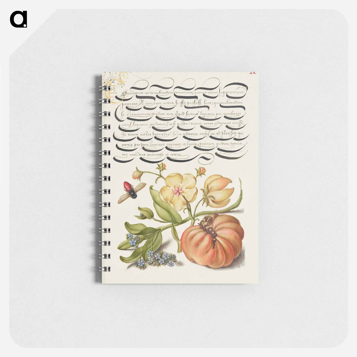 アートメモ帳-Insect, Moth Mullein, Forget Me Not, and Tomato
 - 書道のお手本 Memo.