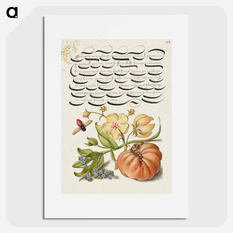 アートポスター-Insect, Moth Mullein, Forget Me Not, and Tomato
 - 書道のお手本 Poster.