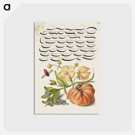 アートポストカード-Insect, Moth Mullein, Forget Me Not, and Tomato
 - 書道のお手本 Postcard.