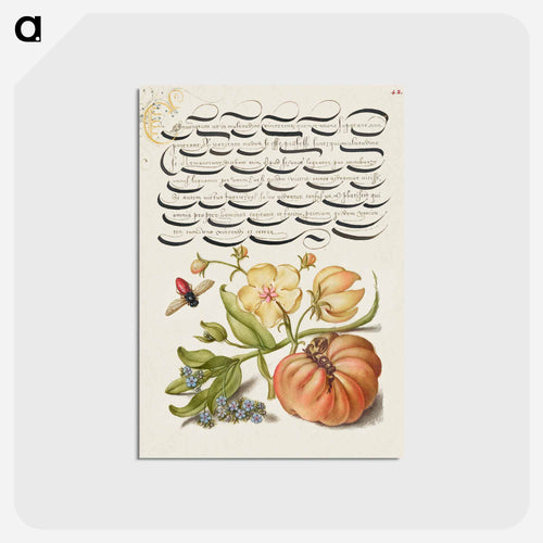 Insect, Moth Mullein, Forget Me Not, and Tomato
 - 書道のお手本 Postcard.