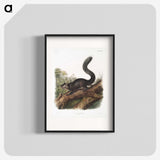 2-20_The-Viviparous-Quadrupeds_blk