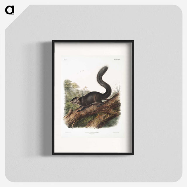 2-20_The-Viviparous-Quadrupeds_blk