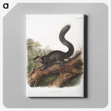2-20_The-Viviparous-Quadrupeds_canvas