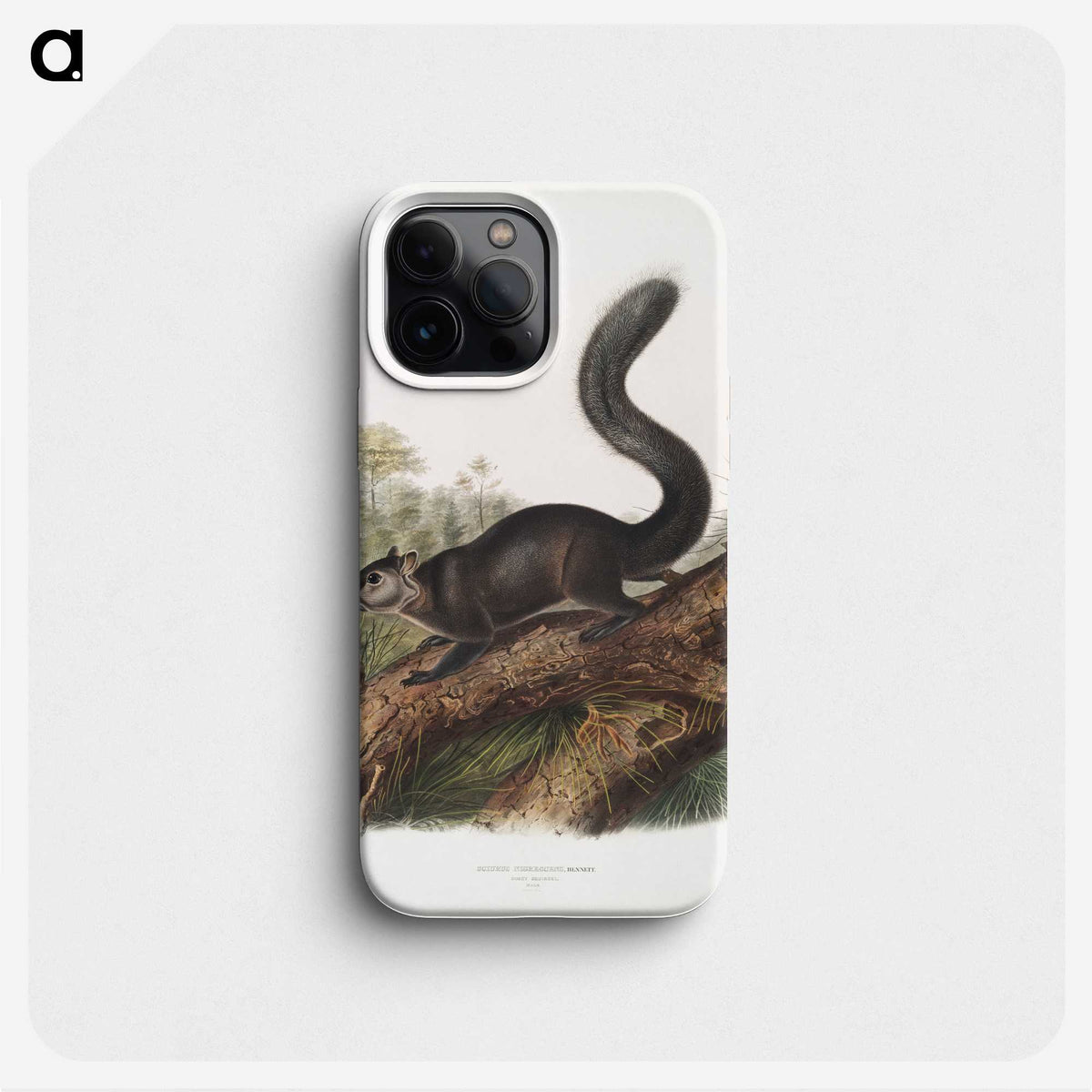 2-20_The-Viviparous-Quadrupeds_phone