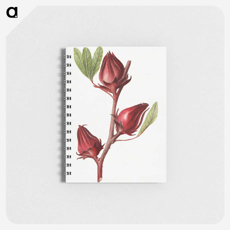2-20_USDA-Watercolor-Fruit-Painting-Collection_memo